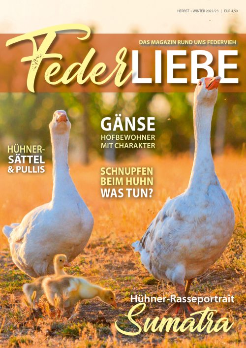 Cover_Herbst